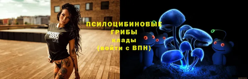 Псилоцибиновые грибы прущие грибы  Верея 